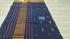 PL BIG BUTTA SAREE